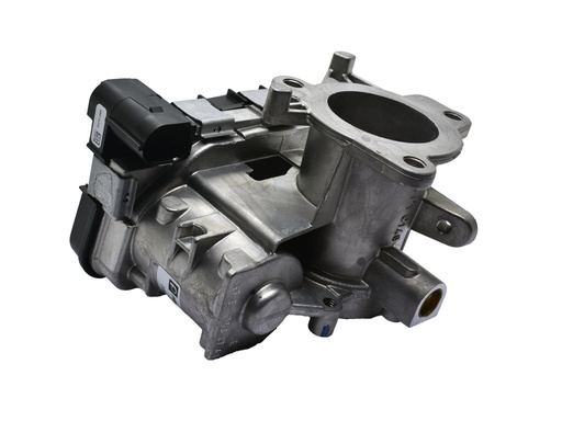 [55261263] Cuerpo Mariposa