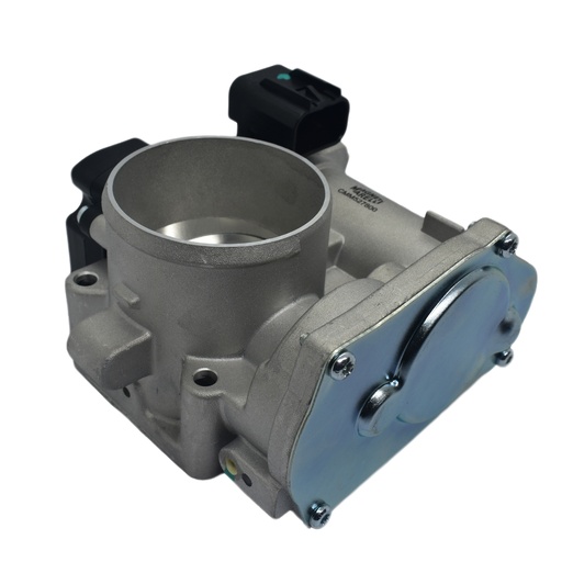 [CMM527800] Cuerpo Mariposa