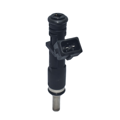 [HE55353806] Inyector Nafta