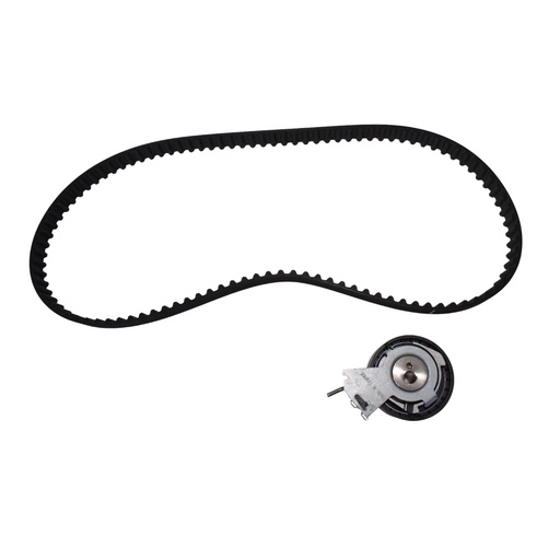 [1987944924] Kit De Distribucion