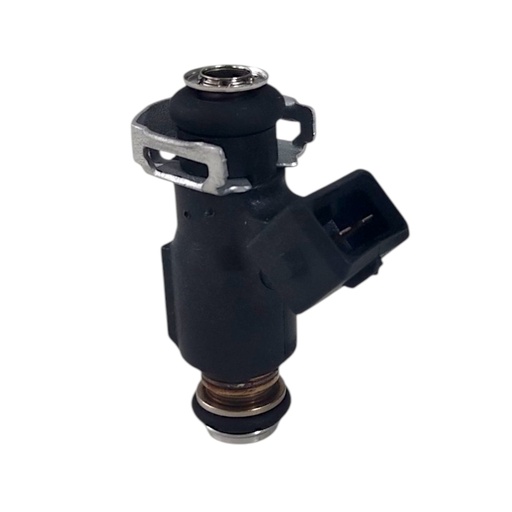 [FJ10733] Inyector Nafta