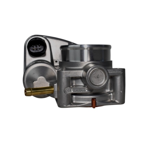 [A2C59511709] Cuerpo Mariposa