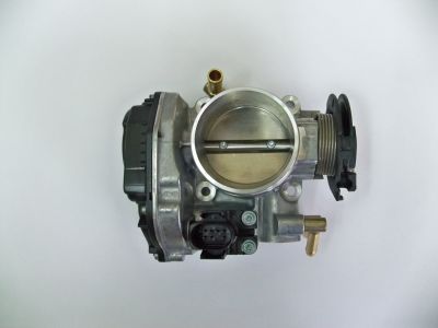 [037133064] Cuerpo Mariposa