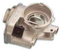 [038128063Q] Cuerpo Mariposa