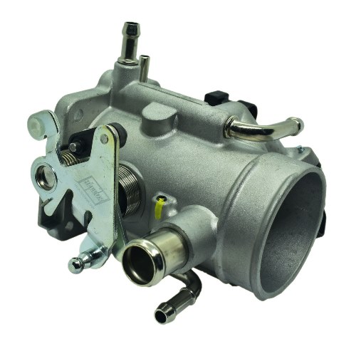 [HE17099152] Cuerpo Mariposa