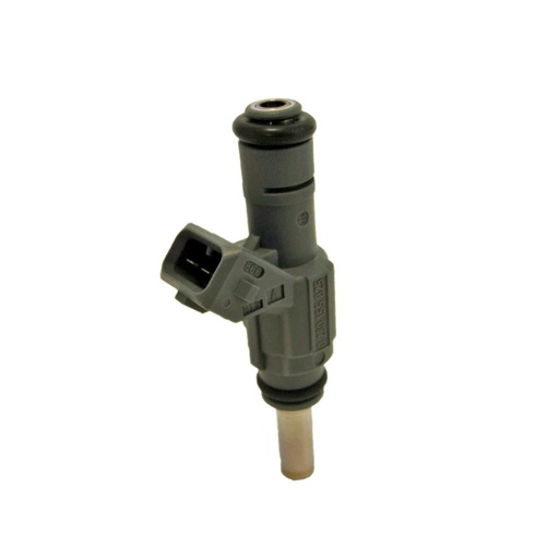 [0280155825] Inyector Nafta