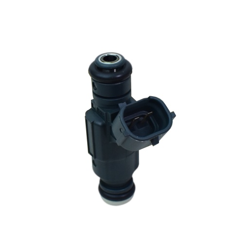 [0280156173] Inyector Nafta