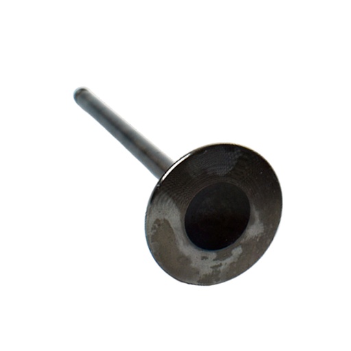 [VE0510270] Valvula Escape