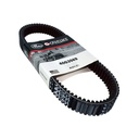 Correa De Transmision