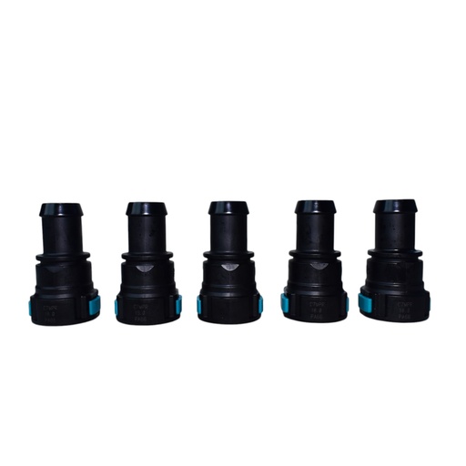 [QC11165] Pico Recto