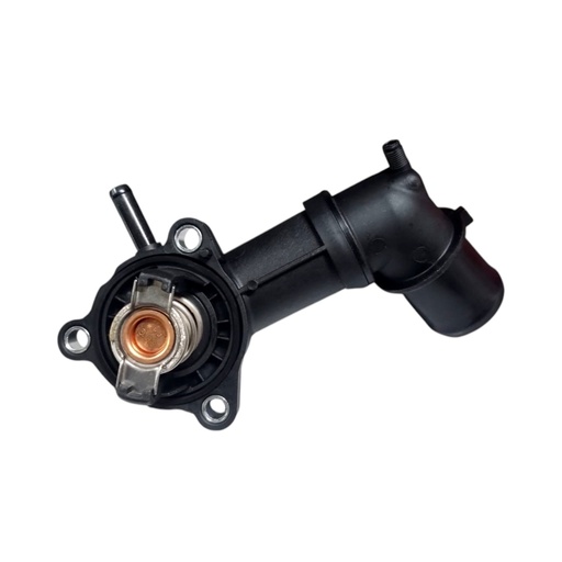 [HE55241963] Carcasa Termostatica