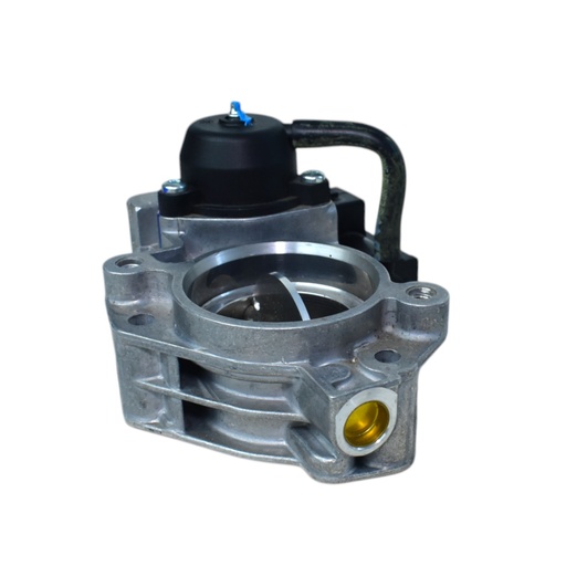 [51785231] Cuerpo Mariposa