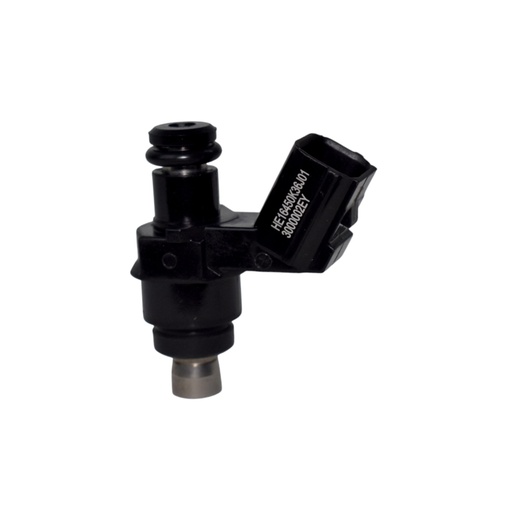 [HE16450K36J01] Inyector Nafta