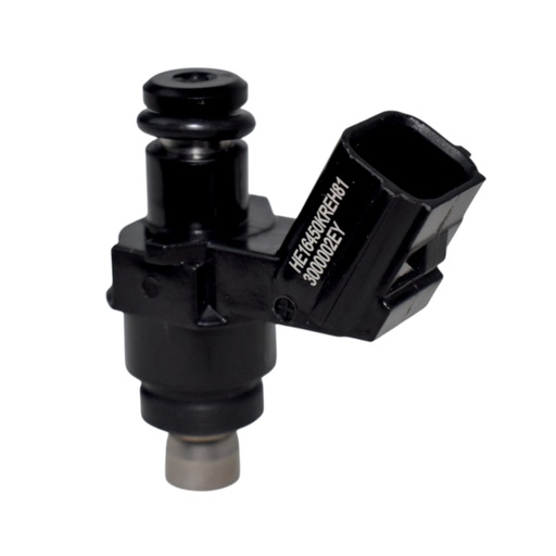 [HE16450KREH81] Inyector Nafta