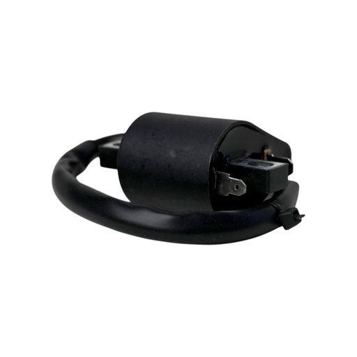 [HE2GSH23100000] Bobina De Encendido