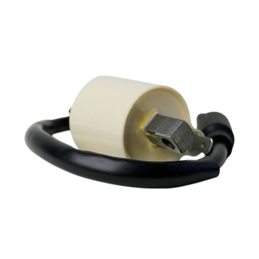 [HEJL351202] Bobina De Encendido