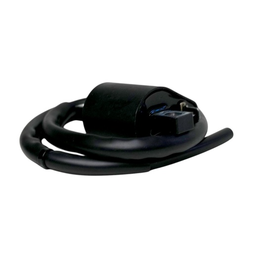 [HE21CH231000] Bobina De Encendido