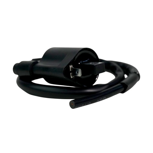 [HE10179] Bobina De Encendido