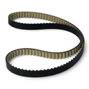 Correa Distribucion