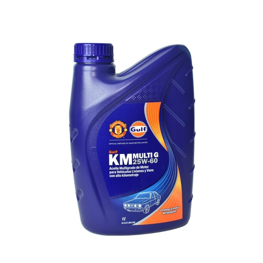 [G25W60MGM1] Aceite Motor