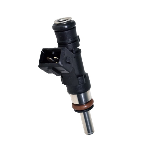 [HE280158167] Inyector Nafta