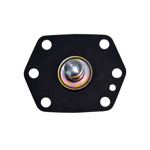 [12307] Diafragmas - Pistones