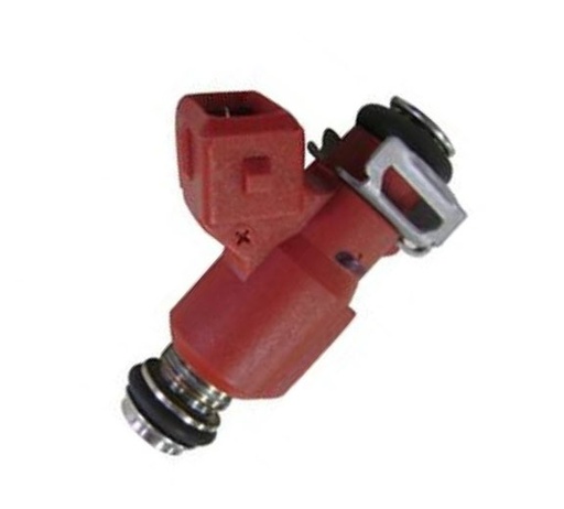 [FJ10732] Inyector Nafta