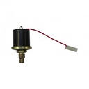 Bulbo De Presion De Aceite Cebolla