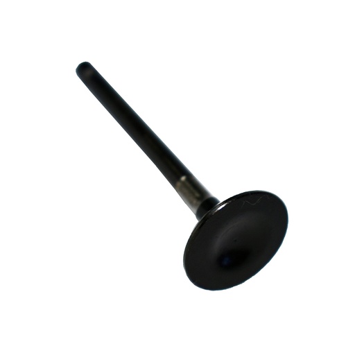 [50017461] Valvula Escape