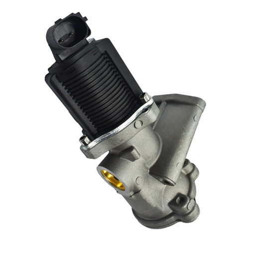 [HE55219499] Valvula Egr