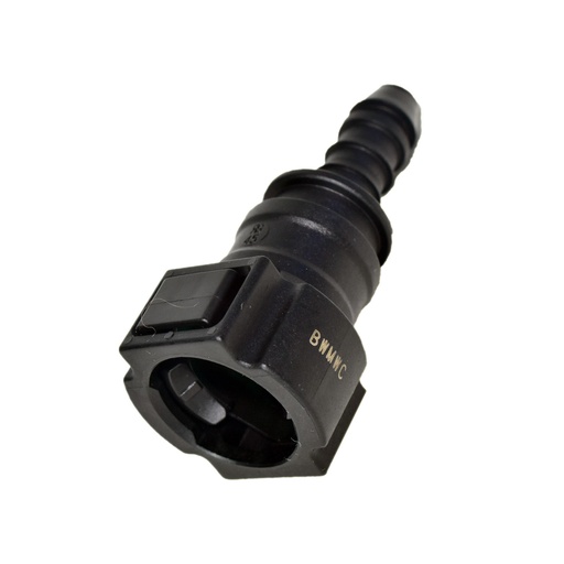 [QC11029] Pico Recto