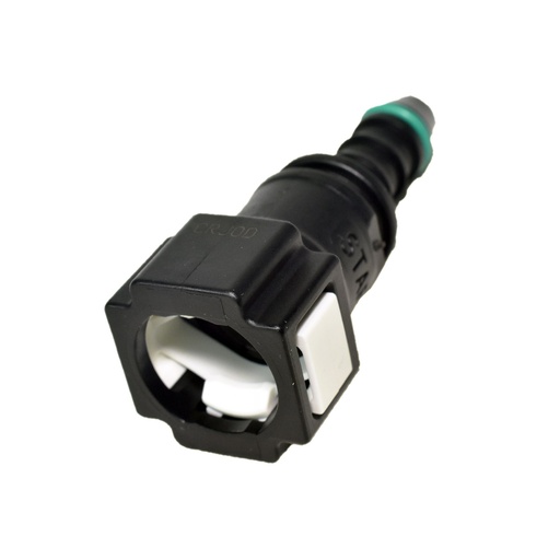 [QC11009] Pico Recto