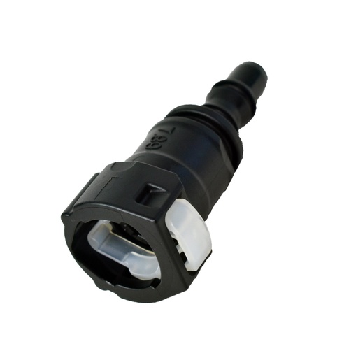 [QC11008] Pico Recto