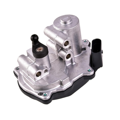 [A2C59506246] Cuerpo Mariposa