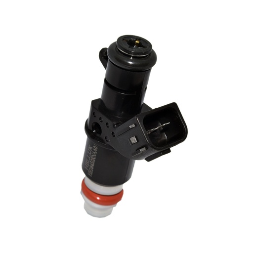 [HE16450RNAA01] Inyector Nafta