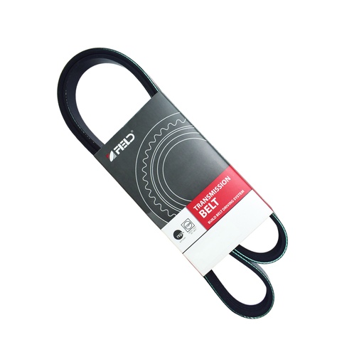 [FED4PK1150] Correa Poly V