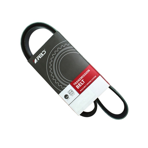 [FED4PK1000] Correa Poly V