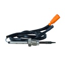 Sensor De Temperatura Egts