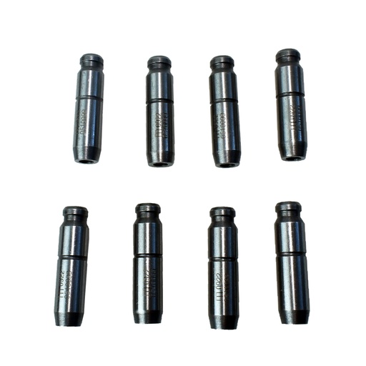 [GC0510099] Guia De Valvula