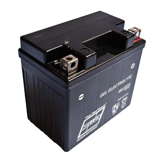 [HGYTZ7S] Bateria Gel