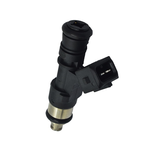 [HE280158254] Inyector Nafta