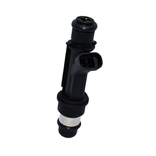 [HEICD00112] Inyector Nafta