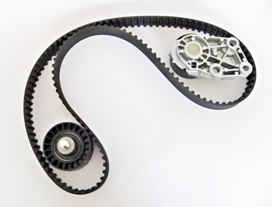 [1987944930] Kit De Distribucion