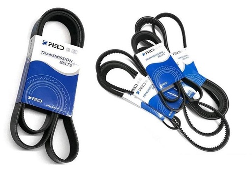 [FED6PK1555] Correa Poly V