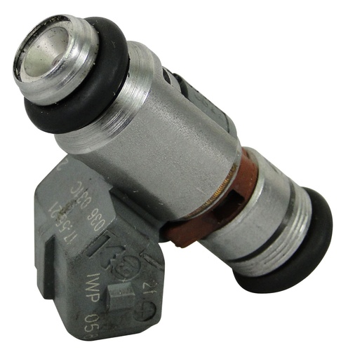 [50102202] Inyector Nafta