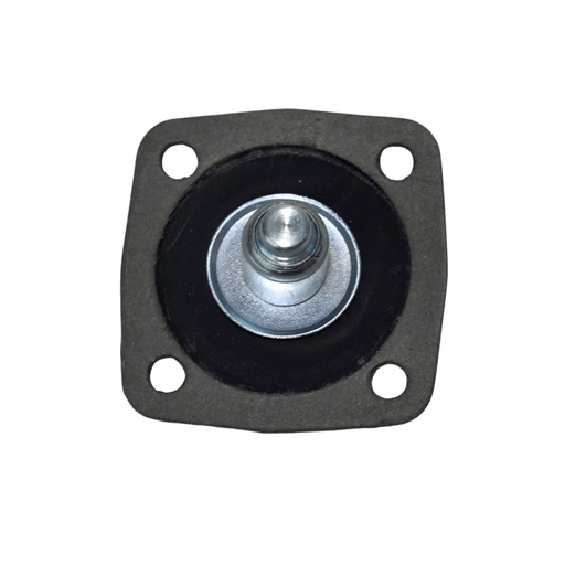 [12326] Diafragmas - Pistones