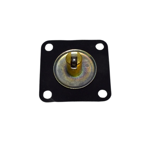 [12350] Diafragmas - Pistones