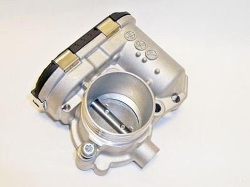 [0280750228] Cuerpo Mariposa