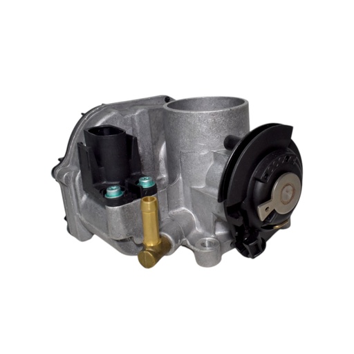 [HE030133064G] Cuerpo Mariposa